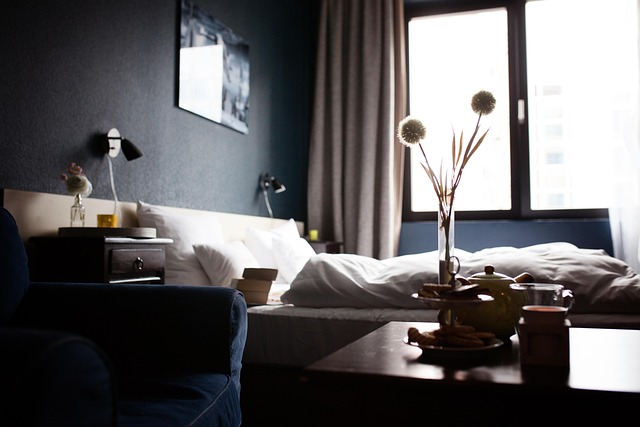 Amsterdam Canal Hotels vs Budget Hotels Which One Is Worth It