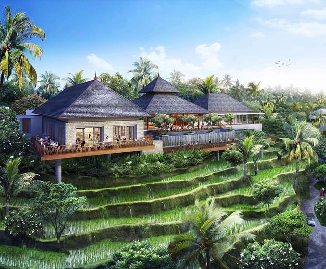 Bali Ubud Hotels vs Seminyak Hotels Which Is Better for Couples