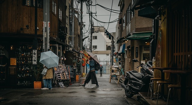 Japan Travel Budget vs Luxury Trip Comparison