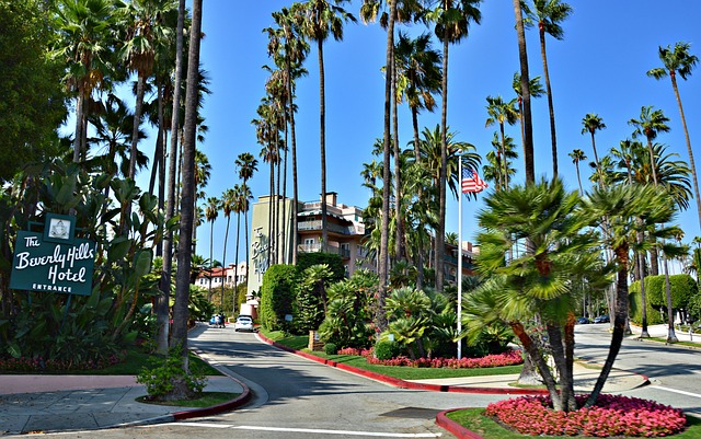 Los Angeles Hotels With Parking vs Public Transport Options