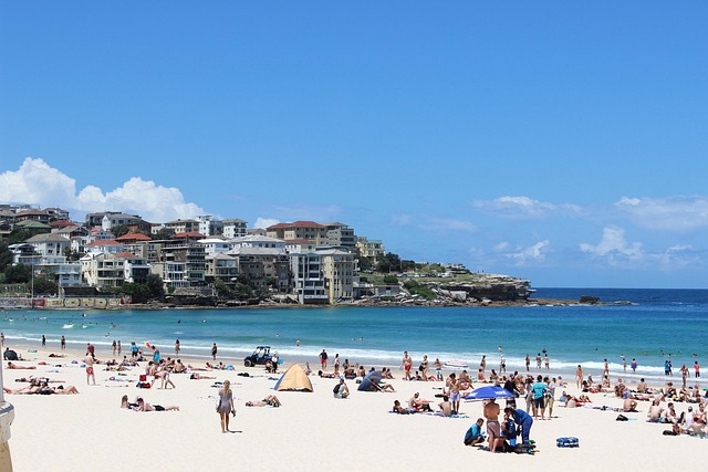 Sydney Hotels Near Harbour vs Bondi Beach Which Is Better