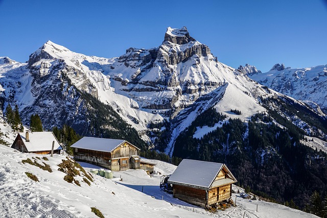 Which Aspen Villas Are Best for Ski Travelers